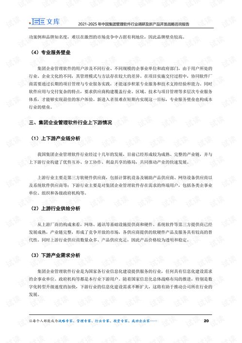2021-2025年中国集团管理软件行业趋势与创新开发战略报告